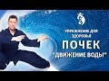 Упражнение для лечения почек Движение Воды. Цигун для почек