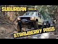 Suburban Takes On Strawberry Pass Trail