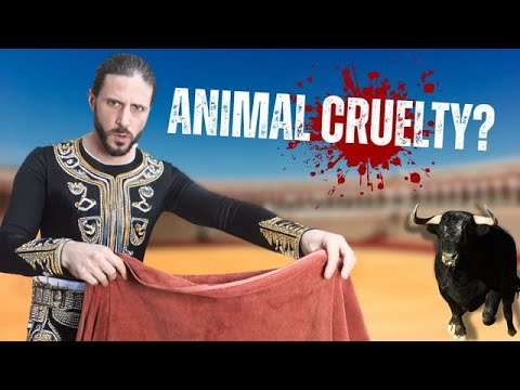 Why Spaniards want to BAN BULLFIGHTING - Daily Intermediate - Why Spaniards want to BAN BULLFIGHTING - Daily Intermediate