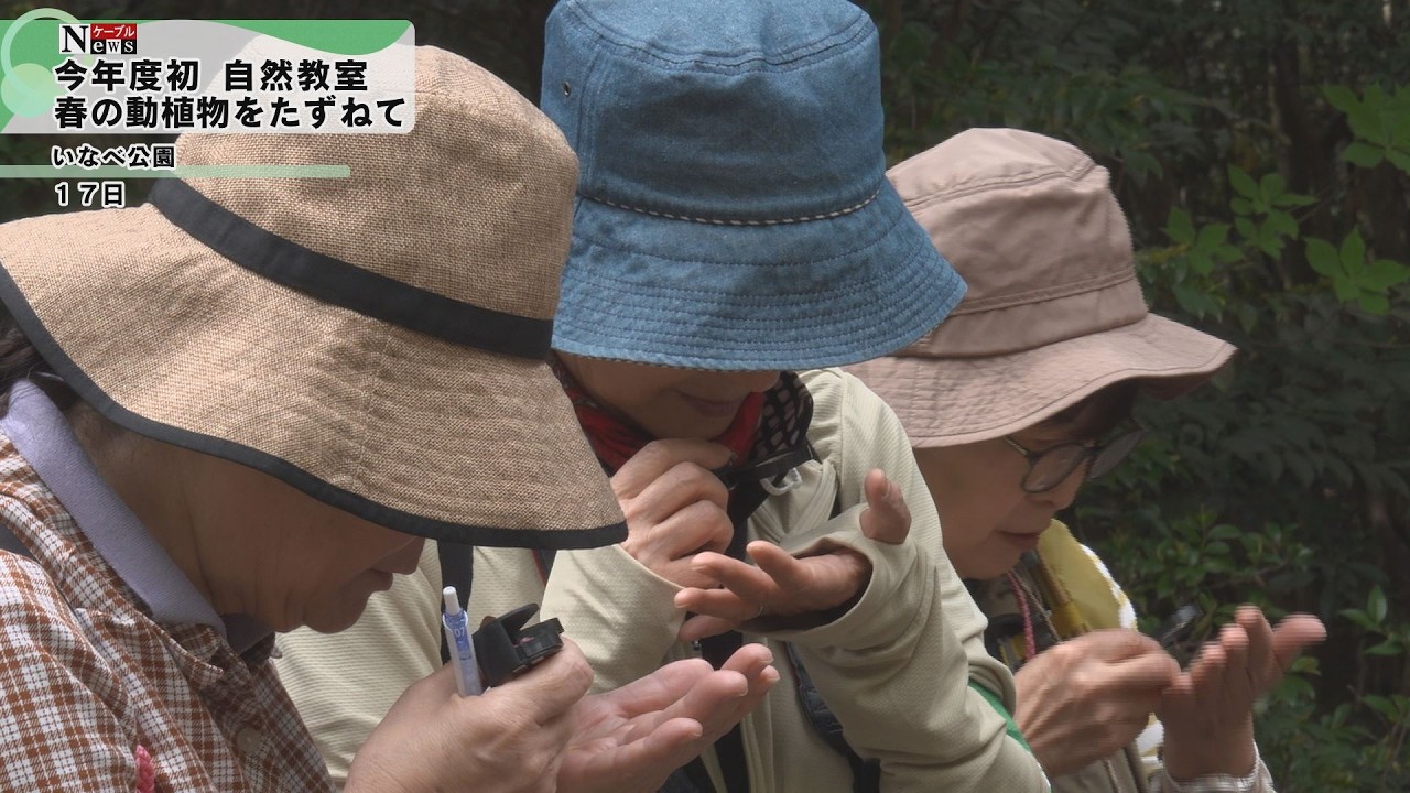 Cake News] Fujiwara Takeshi Natural Science Museum - Natural