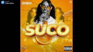 Ingomblock - SUCO