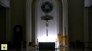 7/15 - Live Sanctuary with the Glorious Mysteries of the Rosary every 20 minutes