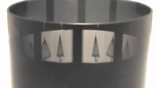 Strobotop Zoetrope
