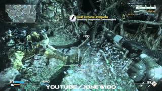 PS4 cod ghosts onslaught dlc fog