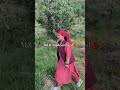 shaky shaky short #nature