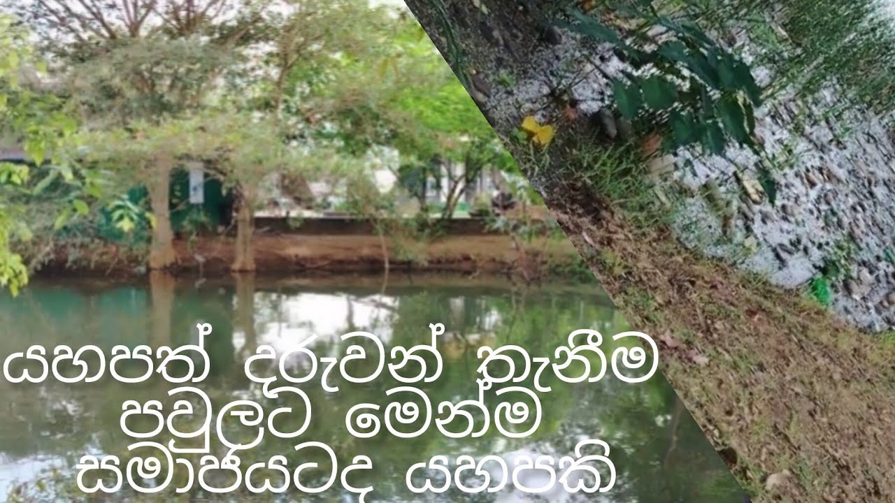 යහපත් දරුවන් තැනීම පවුලට වගේම සමාජයටද යහපතක්. 