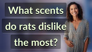 What scents do rats dislike the most?