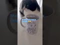 Oreo siendo Oreo🥹 el bombón de la casa #straycat #cats #cat #adoptstrays #meme  #fun
