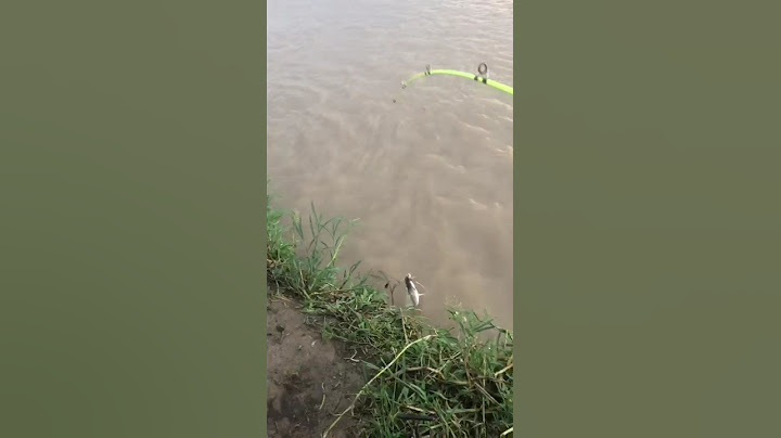 el primer paty del dia  arrancamos haci con tiky