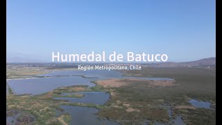 Documental Humedal de Batuco