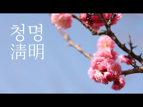오늘은 절기 '청명', 몸과 머리를 맑게 하는 딱 한 가지 방법 [절기캐스터, 24절기]
