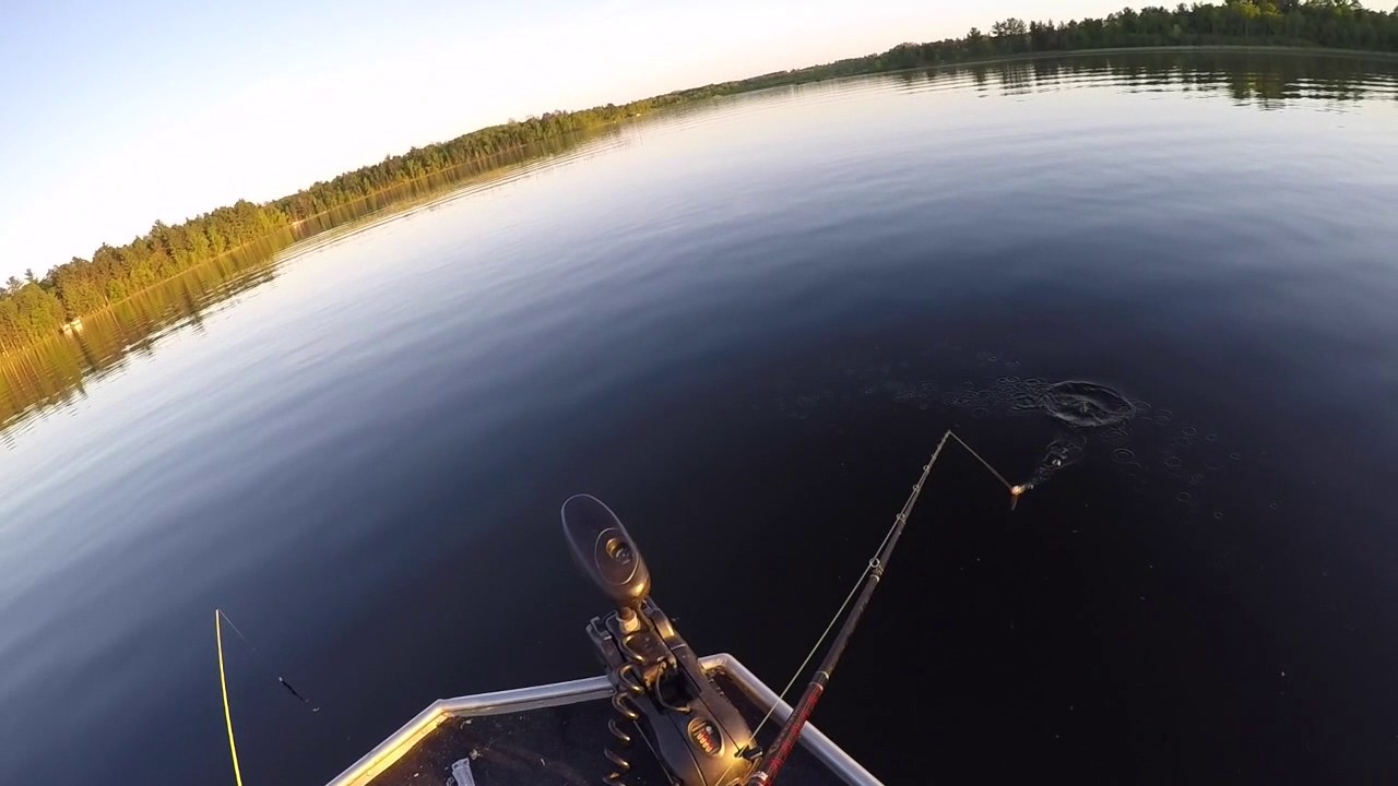 Walk the Dog Northern Pike Lake Hattie, Minnesota YouTube