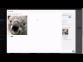 WordPress - Editing Photo - 3.9