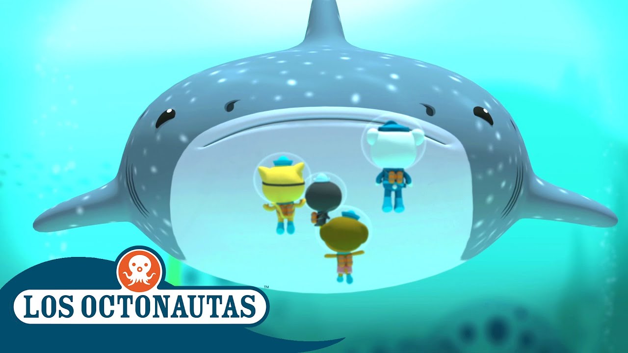 Los Octonautas Oficial En Español - El tiburón ballena y la ballena  jorobada albina - thptnganamst.edu.vn
