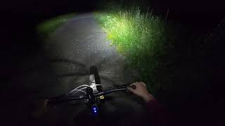 Lampe pour vélo à assistance électrique Lupine SL F Brose avec double  support de fixation