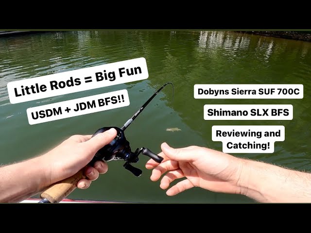 best shimano reel with dobyns sierra rod BFS Bass Fishing Perfection