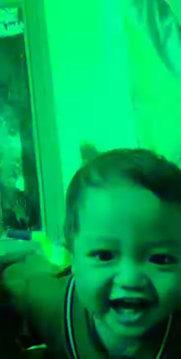 Tiktok story wa lucu (tj.burung)