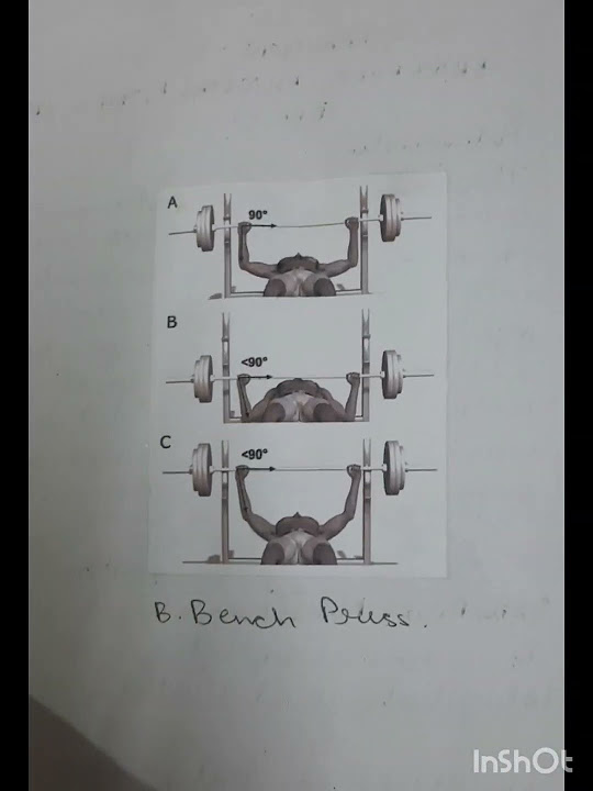 BROCKPORT PHYSICAL FITNESS TEST Physical Education PRACTICAL Class 11 brockport-physical-fitness-test-by-taylor-clough-youtube