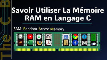 Bases  |  Les Secrets de l