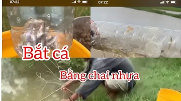 Săn Bắt Miền Tây Bắt Cá Bằng Chai Nhựa | Không Ngờ Dính Ngập Thùng