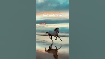 ومن أعرض عن ذكري فإن له معيشة ضنكا _ سورة طه _ محمد صديق المنشاوي