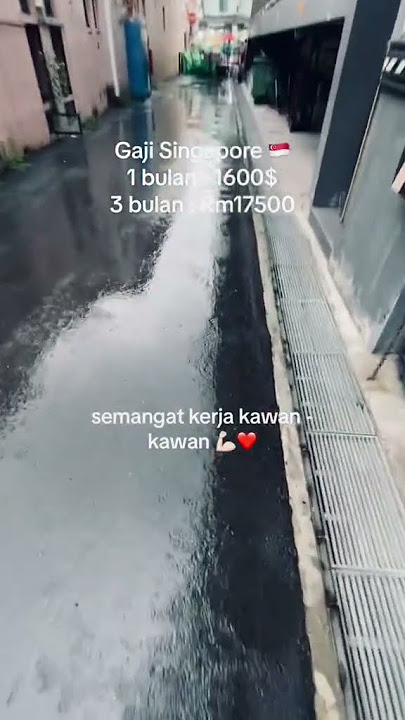Kongsi Gaji Lumayan Di Singapura Jadi Trend, Rupanya Ramai Rakyat Malaysia Ingin Kerja Di Sana