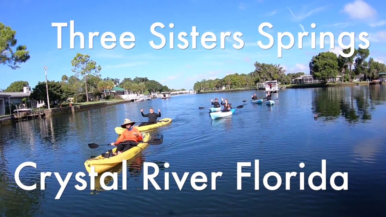 Three Sisters Spring Crystal Springs Fl YouTube