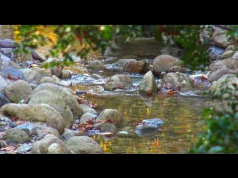 Часы со звуком водопада и пением птиц. Журчащий ручей обаяния. Звук ручья. Песня журчание ручья. Ой течет ручьем вода игра.