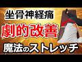 【一日5分】坐骨神経痛が激変!魔法のストレッチ公開