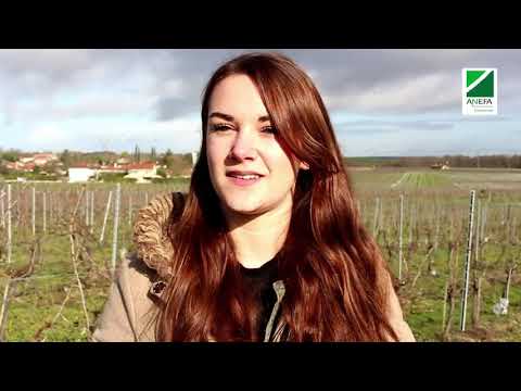 Vidéo: Que sont les écoles d'agriculture ?