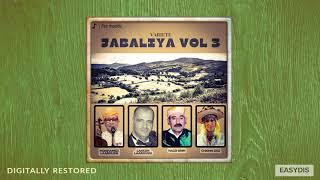 Download Lagu Lahcen Laaroussi - Hbabi Wana Mali / حبابي وانا مالي MP3