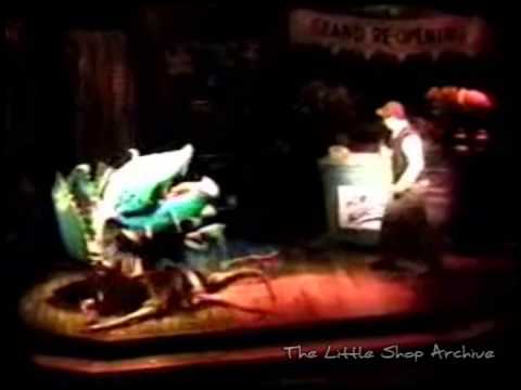 Ranker Video