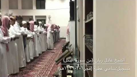 تلاوة من صلاة فجر الجمعة للشيخ عادل ريان من سورة النمل