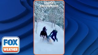 Moose Attacks Snowmobiler in Idaho