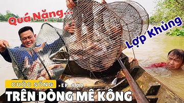 Thăm Lợp Cá KHỦNG sông Mê Kông " Lai Rai " Cá nấu cháo Lục Bình | Dân Lục Tỉnh