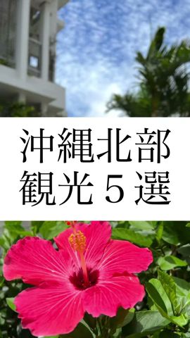 沖縄北部観光５選
