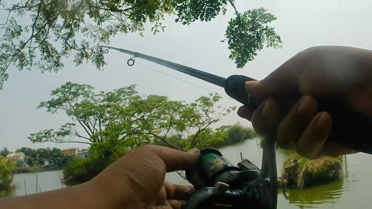 CRAZY EXPERIMENT! Net Fishing with Fried Snacks & Basil Essence? | Massive Catch!