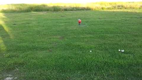 mCPX inverted hover bad battery 040912