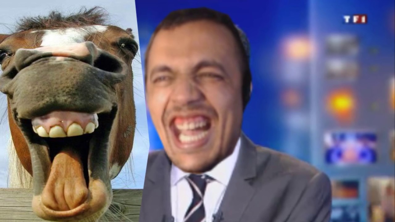 Emission Essayer De Ne Pas Rire