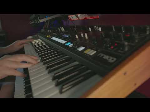 A simple jam with the Moog Muse