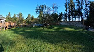 DIY Maximize Your Backyard's Potential: Tour, Chores, and Harvest Tips