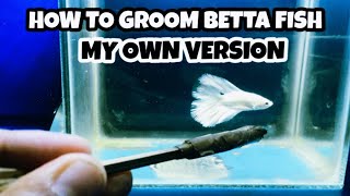 6 WAYS ON HOW TO GROOM MY BETTA FISH FOR BETTA SHOW | MONCHING'S BETTA