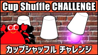 Cup Shuffle CHALLENGE #2 | How Good Are Your Eyes