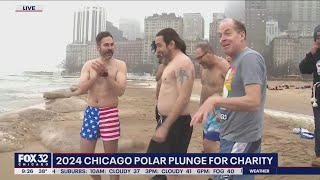 Polar plunge preview