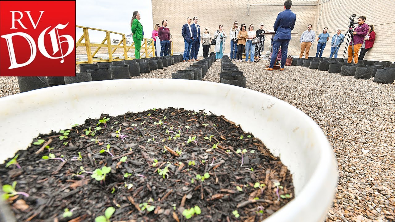 baptist-health-fort-smith-unveils-rooftop-garden-to-address-patients