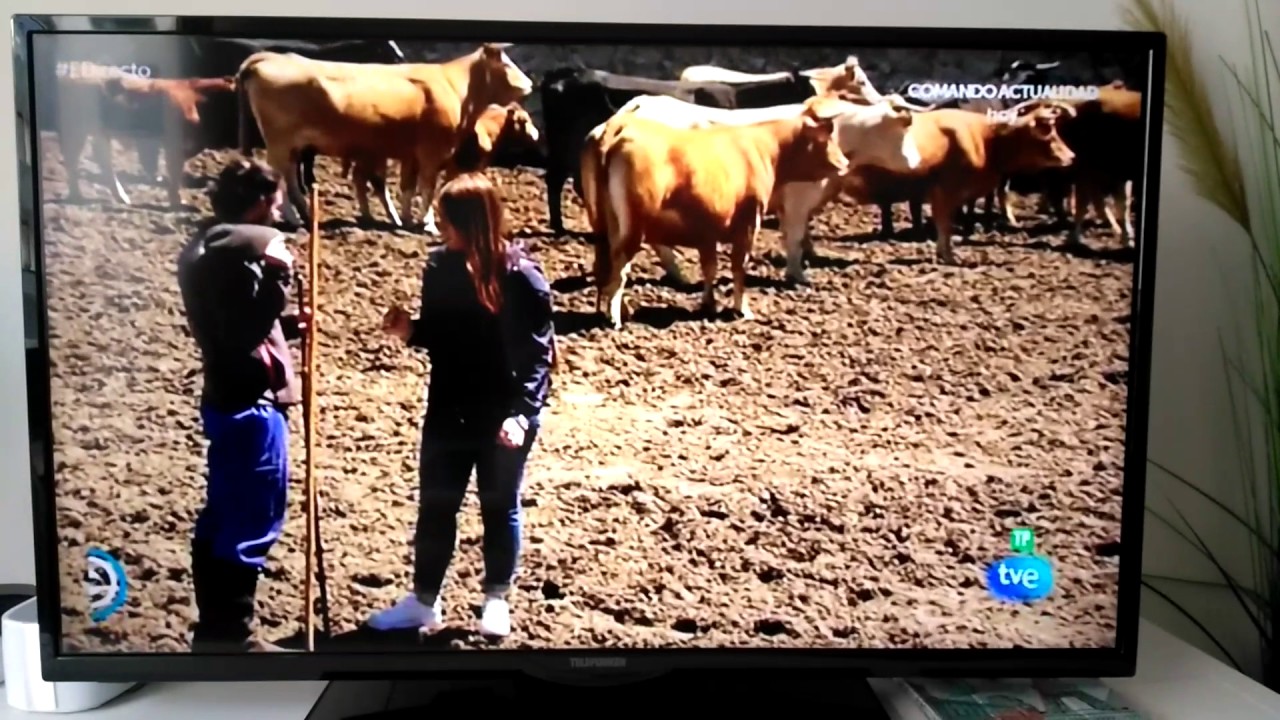 Peguerinos en TVE internacional