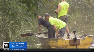 Search continues for alligator that shut down N.J. park