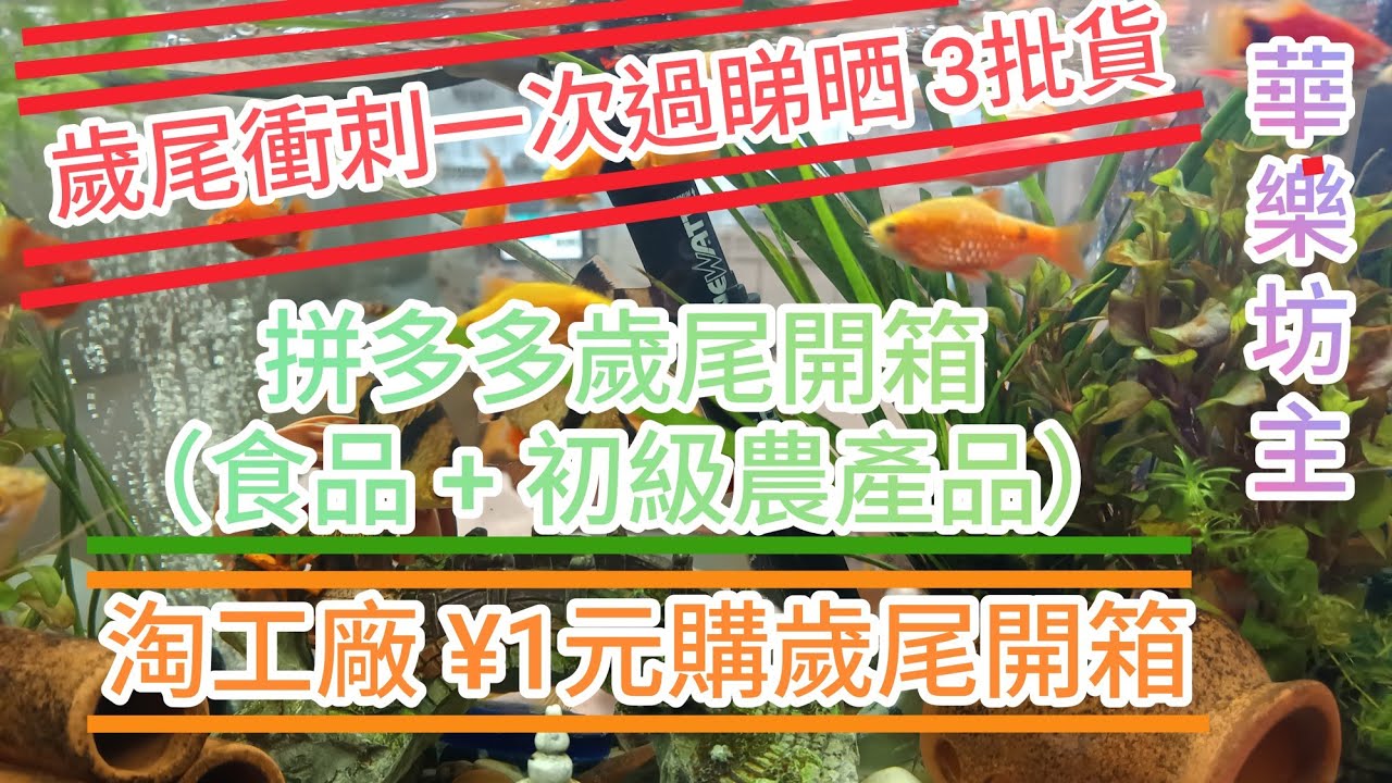 (#12)拼多多+淘工廠¥1元購 歲尾開箱。一次過睇晒3批貨，包括🫘食品、🍑水果、🫚初級農產品