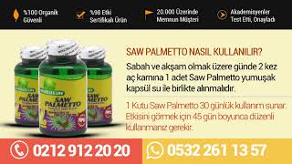 Saw Palmetto Mucizesi