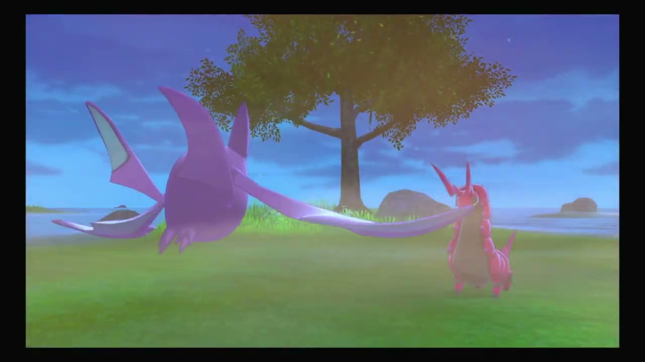 Pokemon Sword, Chemire Main Account, Working on Ditto SlutBox, 20 of 25 Natures Complete